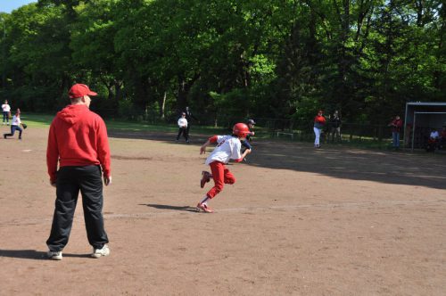 130525 honkbal PSV 116