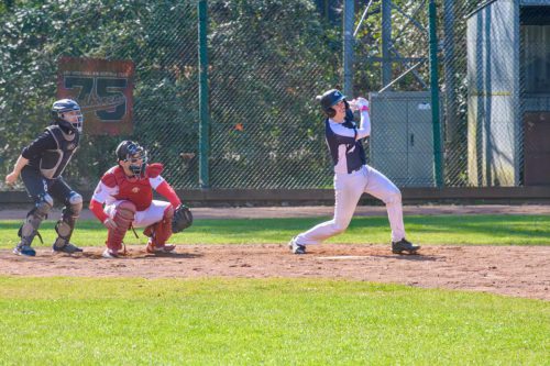 WhatsApp-Image-2026-04-01-at-13.20.40